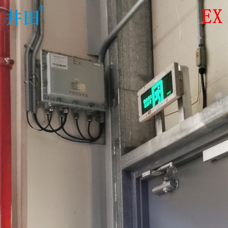 井田 防爆门禁控制箱 BJX